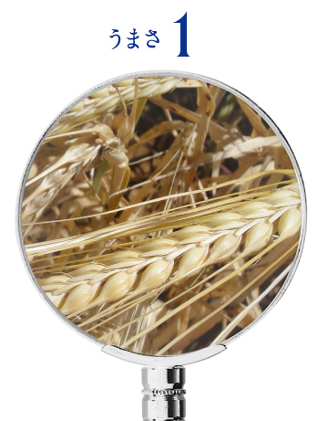 うまさ1
