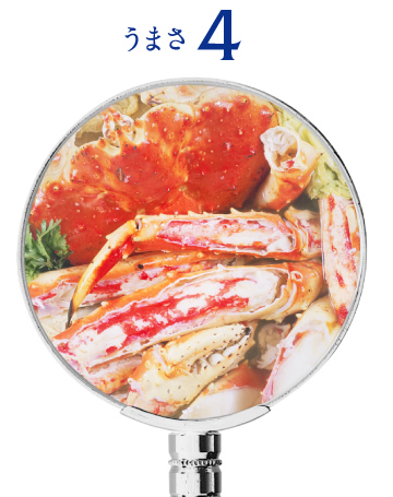 うまさ4