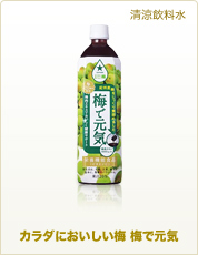 清涼飲料水 カラダにおいしい梅 梅で元気